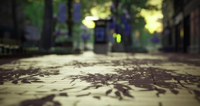 Sunlight streams through the leaves in a park, casting intricate shadow patterns on the brick pavement. The scene exhibits a serene urban atmosphere with lush greenery surrounding the walkway.