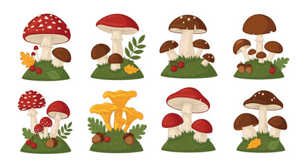 A charming collection of various types of forest mushrooms, including fly agaric, chanterelle, and porcini, in a cute cartoon style.