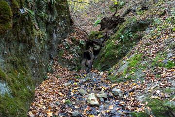 Small Stream Flowing through a Deep Forest Gorge with Moss-Covered Rocks and Autumn Leaves