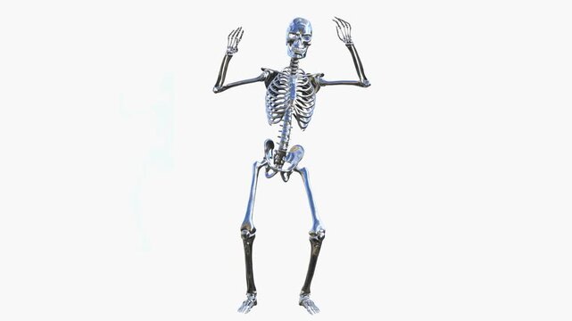 This 3D artwork depicts a shiny, metallic human skeleton striking a playful dancing pose, blending anatomical structure with artistic, stylized movement.