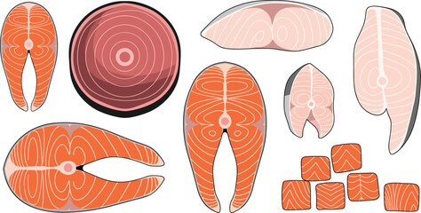 Set of Various Dry Fruits and Nuts. Vector Illustration of Peanut, Almond, Cashew, Hazelnut, Macadamia, Brazil Nut, Walnut, and Pistachio.
