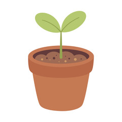 seedling of young plant in flower pot isolated on white background, green shoots of plant, gardening and agriculture vector illustration in flat style