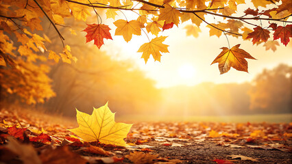Vibrant autumn scene with golden sunlight filtering through maple leaves falling onto a forest path covered in foliage