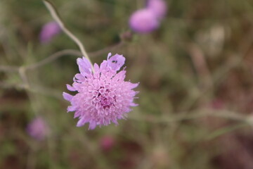 Naturaleza mediterránea a través de la cámara