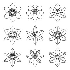 A line art flower clematis set illustration vector style coloring book 