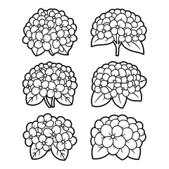 A line art flower hydrangea icon set illustration vector style coloring book