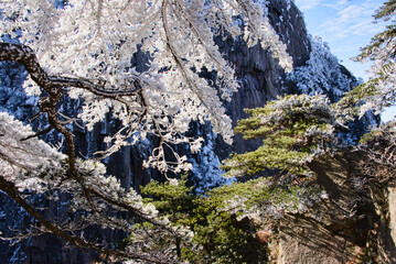 Winter wonderland, scenery in Huangshan National Park, Anhui, China