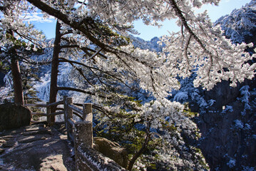 Winter wonderland, scenery in Huangshan National Park, Anhui, China