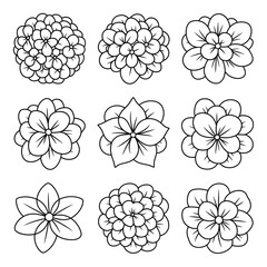 A line art flower hydrangea icon set illustration vector style coloring book