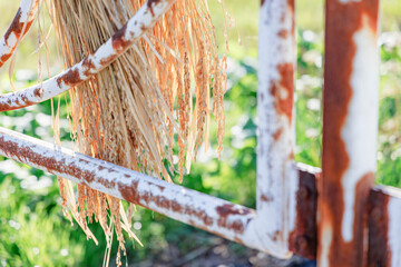 ガードレールにかけられた稲穂