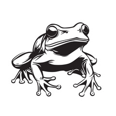 frog on white