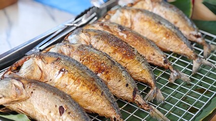Indo Pacific mackerel fish in the market.
