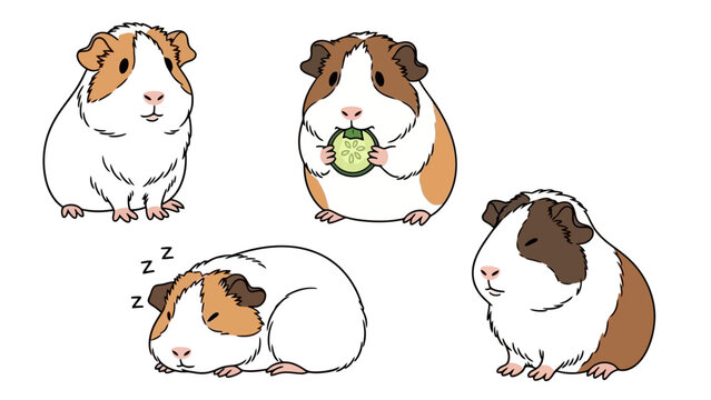 Cute Guinea Pig Characters Set: Sleeping, Eating, and Sitting in Different Poses