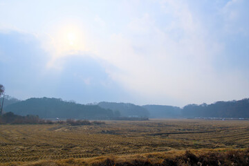 Obraz premium A field after harvest in a slightly cloudy morning