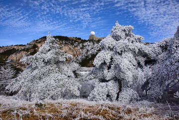 Winter wonderland, scenery in Huangshan National Park, Anhui, China