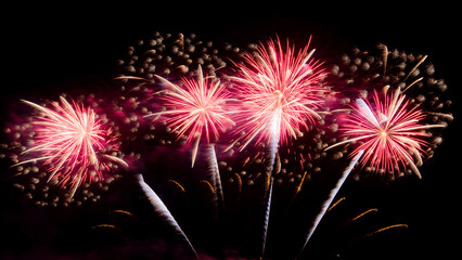 Amazing beautiful colorful firework display over sea on celebration night. Fireworks show for happy new year	