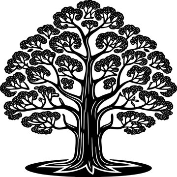 Isolated Quaking Aspen Vector Silhouettes Pando Minimalist Forest Icon