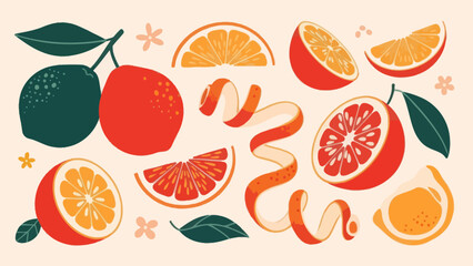 Colorful Illustration of Citrus Fruits and Peels with Green Leaves and Small