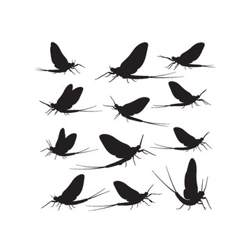 Mayfly Silhouettes Collection,Mayflies Silhouettes,Vector Mayfly Silhouettes,Insect Silhouettes,mayfly vector