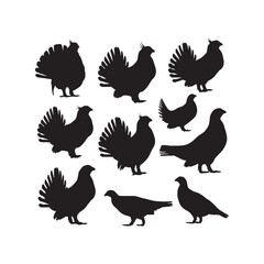 Sage Grouse Silhouettes Collection,Sage Grouse Silhouettes,Vector Sage Grouse Silhouettes,Wild Game Bird Silhouettes,sage grouse vector
