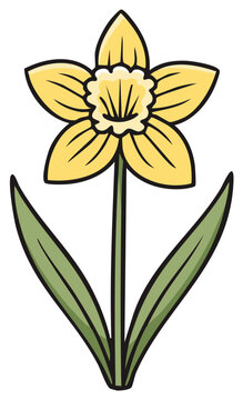 Simple cartoon illustration of a blooming yellow daffodil spring flower