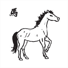 Horse illustration isolated on white background. Chinese Translation: Horse.