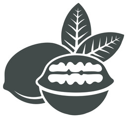 Walnut vector graphic showcases whole and shelled nuts with leaves, culinary design element.