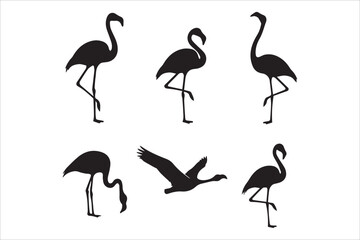 Obraz premium Vector different poses flamingo birds icons set