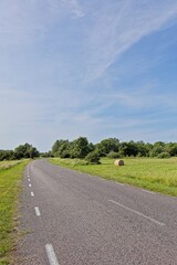 Two-lane asphalt rural road surrounded by green, bushes and trees, is sunny summer weather with a bright blue sky and some white clouds, Karuste, Saaremaa, Estonia.