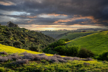 Lush green rolling hills landscape in Morocco with dramatic cloudy sky at sunset