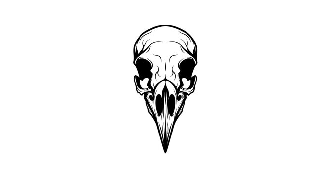 Monochrome depiction of a bird skull on a white background representing mortality