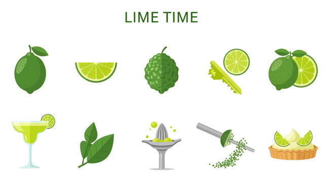 A flat illustration grid showing whole limes slices a bergamot zest a margarita leaves a juicer and a tart