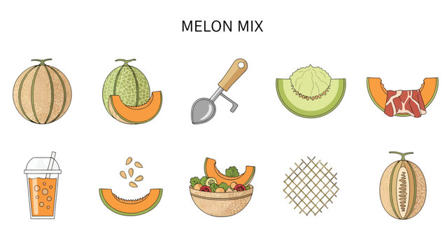 Melon mix illustrations featuring whole melons slices juice seeds and a melon baller