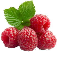 Fresh Raspberries with Green Leaves Attached on transparent background