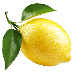 Fresh Lemon with Green Leaves Attached on transparent background