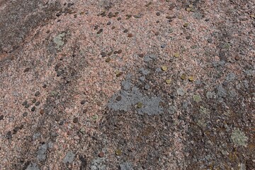 Close-up of Aljava Ukukivi (Offering stone of Uku) boulder with offering coins left on rock in sunny summer weather, Muhu, Estonia. © Raimo Bergroth