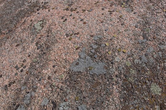 Close-up of Aljava Ukukivi (Offering stone of Uku) boulder with offering coins left on rock in sunny summer weather, Muhu, Estonia.