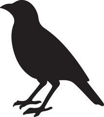 Fototapeta premium Crow bird Icon – Vector Illustration