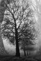 Herbstliche Inspiration