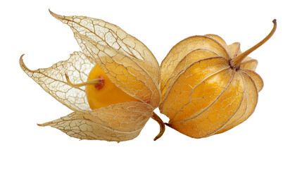 A pile of fresh Peruvian physalis cape gooseberries with peachberries transparent png background. Ai generated