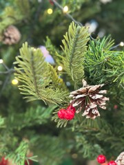 Fototapeta premium Season's greetings scene. Top view of Christmas decorations, balls, rustic star, holly berries, frosty spruce branches, confetti on green backdrop, perfect for messages or promo. text space concept