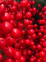 Season's greetings scene. Top view of Christmas decorations, balls, rustic star, holly berries, frosty spruce branches, confetti on green backdrop, perfect for messages or promo. text space concept
