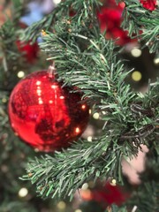 Season's greetings scene. Top view of Christmas decorations, balls, rustic star, holly berries, frosty spruce branches, confetti on green backdrop, perfect for messages or promo. text space concept