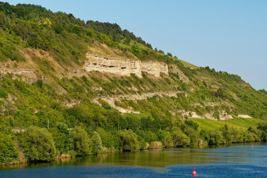 Blick auf den Mainprallhang und die Weinberge am Benediktusberg mit dem Naturschutzgebiet Tiertalberg bei Retzbach, Landkreis Main-Spessart, Unterfranken, Bayern, Deutschland