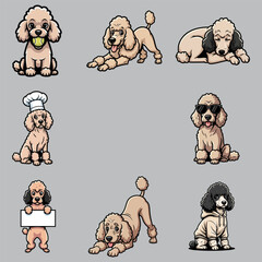 Collection of Cute Poodle Dog Vector Illustrations in Different Styles