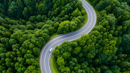 Aerial view of winding forest road with white car driving through lush green trees