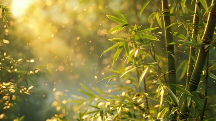 Natural Botanical Background with Detailed Wooden Stems in Jungle Environment