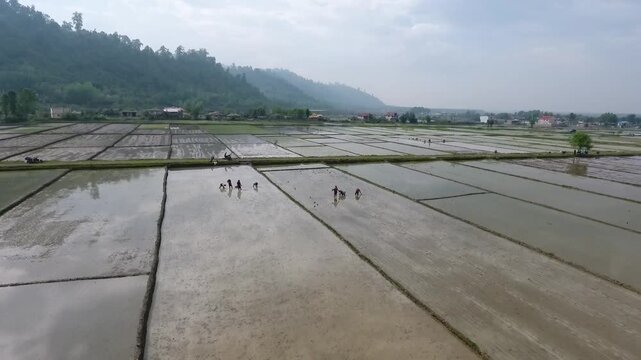 drone view of farming on field