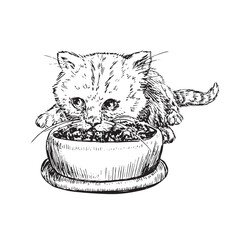 Cat eating from a bowl, doodle black ink drawing, woodcut vector