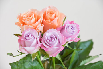 オレンジと紫のばら